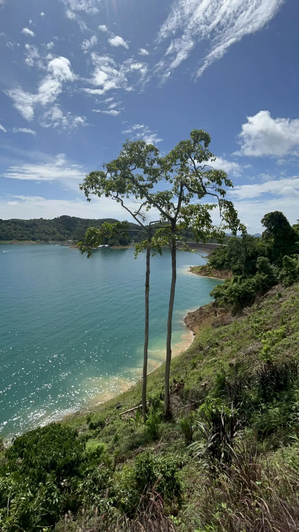 Lac turquoise et arbres sur une rive boisée, parc de Khao Sok